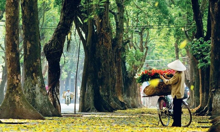 Đợt không khí lạnh đang