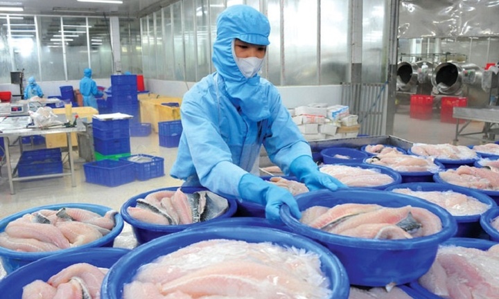 Xuất nhập khẩu Thủy sản Việt Nam bứt phá trong quý III/2024