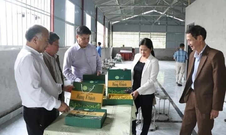 Yên Bái: Đẩy mạnh các sản phẩm OCOP phát triển theo hướng bền vững