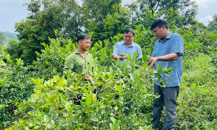Huyện Vị Xuyên: Tăng cường công tác thực hiện chương trình mục tiêu giảm nghèo bền vững