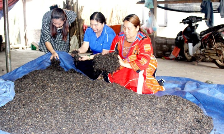 Huyện Quang Bình: Những điểm tích cực trong thực hiện chương trình giảm nghèo bền vững năm 2024