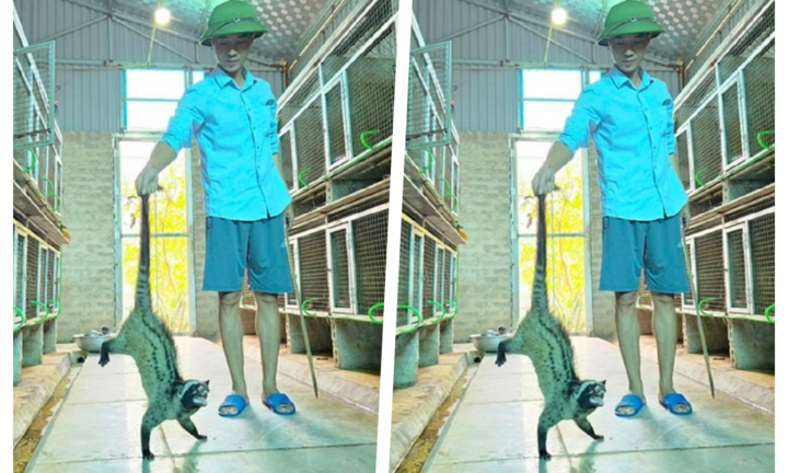 Kỹ sư xây dựng chốn phố về quê nuôi loài 