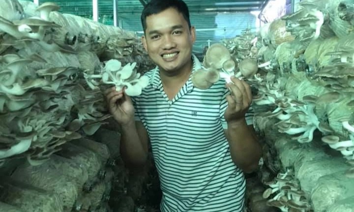 Liều lĩnh cầm cố nhà đất để trồng nấm, anh nông dân mỗi năm thu hơn 3 tỷ