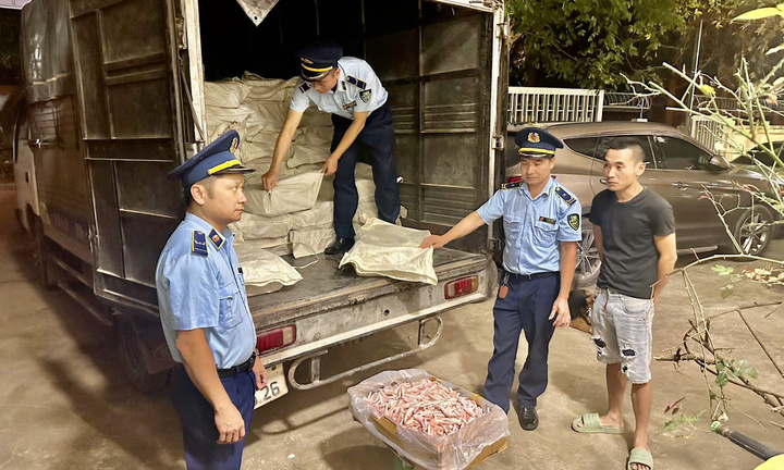 Lạng Sơn: Kịp thời ngăn chặn 960 kg chân gà đông lạnh nhập lậu