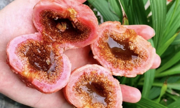 Thói quen tưởng chừng vô hại 