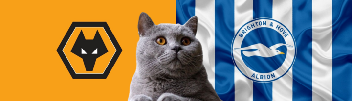 Nhận định soi kèo Brighton vs Wolves, Ngoại hạng Anh 21h ngày 26/10: Mèo tiên tri giống chuyên gia