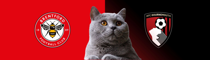 Dự đoán kết quả trận Brentford vs Bournemouth, Ngoại hạng Anh 22h ngày 9/11: Mèo tiên tri làm phản