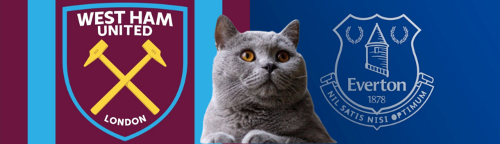 Dự đoán kết quả trận West Ham vs Everton, Ngoại hạng Anh 22h ngày 9/11: Mèo tiên tri tạo địa chấn