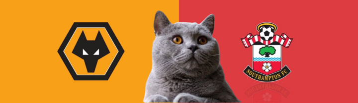 Dự đoán kết quả trận Wolves vs Southampton, Ngoại hạng Anh 22h ngày 9/11: Mèo tiên tri nóng lòng