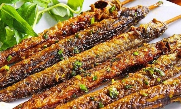 Loại cá ở Việt Nam được ví là “nhân sâm dưới nước