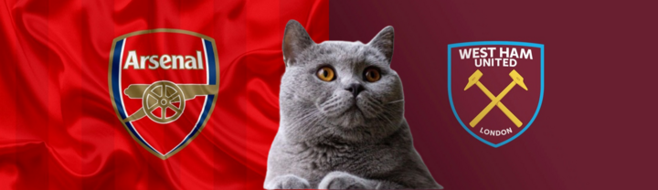 Dự đoán kết quả trận West Ham vs Arsenal, Ngoại hạng Anh 0h30 ngày 1/12: Mèo tiên tri tự tin
