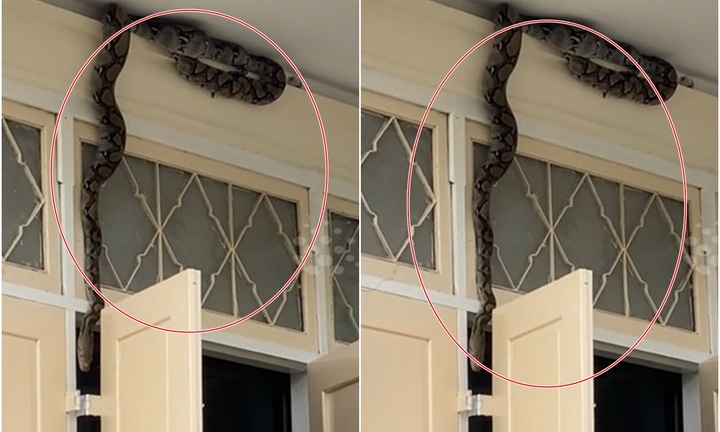 Clip: Giáo viên, học sinh