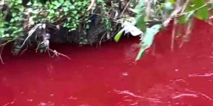 Clip: Nước suối chuyển màu đỏ như máu, bốc mùi khó chịu ở Bình Phước