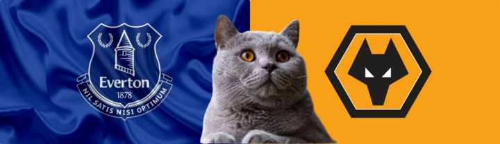 Dự đoán kết quả trận Everton vs Wolves, Ngoại hạng Anh 2h30 ngày 5/12: Mèo tiên tri như chuyên gia