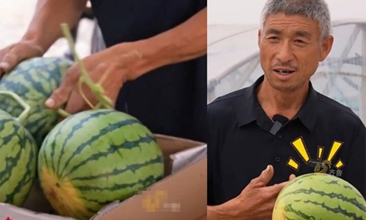 Kiếm nhẹ 3,5 triệu đồng/ngày chỉ bằng vài cái vỗ, nghe thì dễ nhưng yêu cầu cao