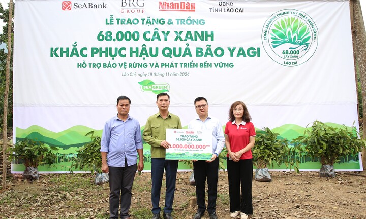 SeABank và Tập đoàn BRG chung tay trồng 68.000 cây phủ xanh gần 20ha rừng tại Lào Cai