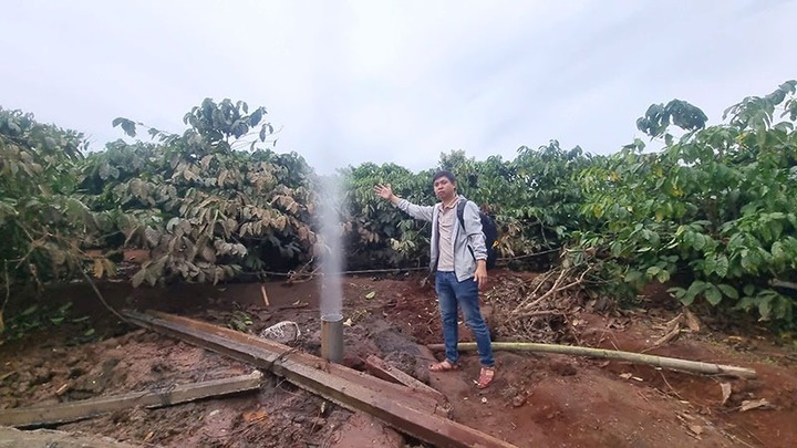 Tin thời sự mới ngày 13/12: Khởi công xây cầu Phong Châu mới ngay trong tháng 12