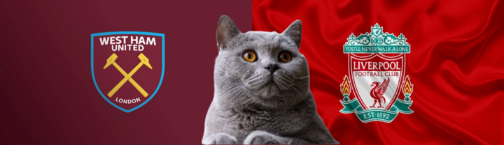 Dự đoán kết quả trận West Ham vs Liverpool, Ngoại hạng Anh 0h15 ngày 30/12: Mèo tiên tri mê mẩn