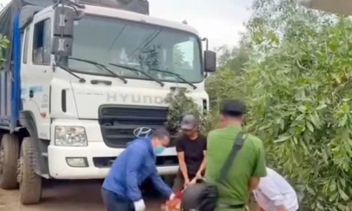 Tài xế leo lên nóc xe nâng dây điện, bị giật tử vong 