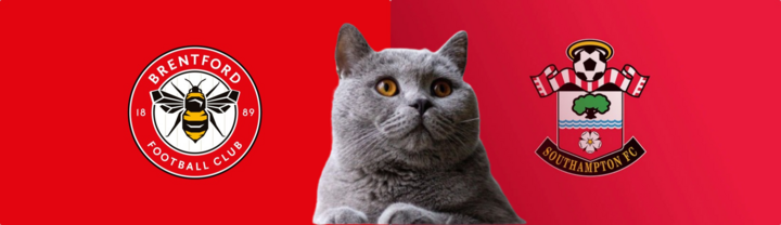 Dự đoán kết quả trận Southampton vs Brentford, Ngoại hạng Anh 22h ngày 4/1: Mèo tiên tri ngẫu hứng