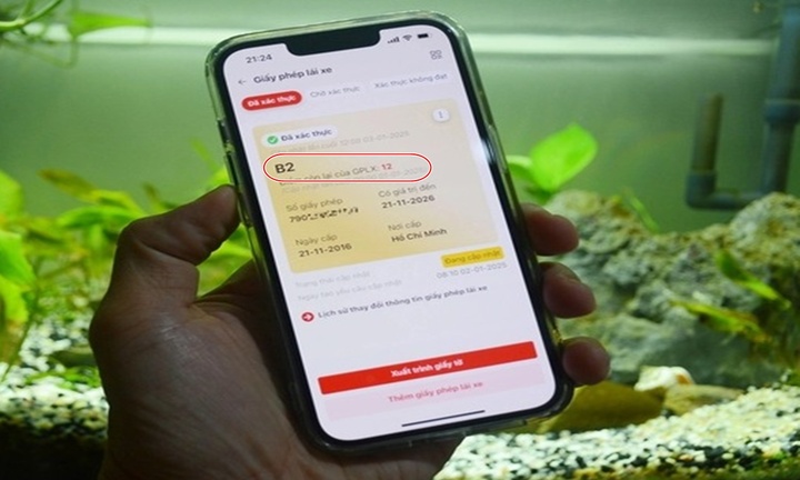 Các lỗi phạm luật giao thông bị trừ nhiều điểm GPLX nhất, tài xế phải nắm rõ