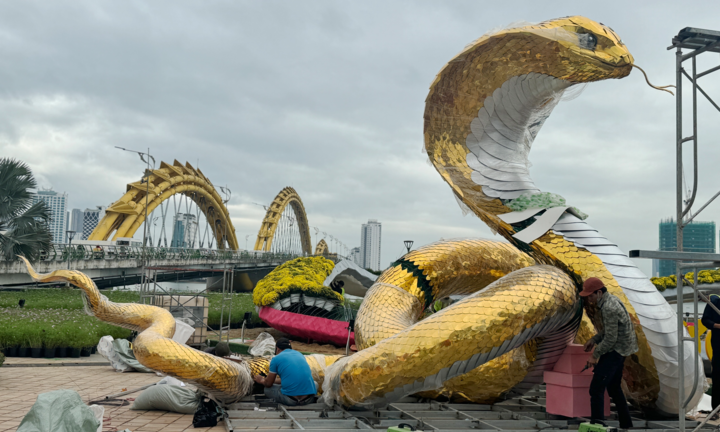 Chiêm ngưỡng linh vật rắn ở Đà Nẵng, vừa xuất hiện khiến ai cũng xuýt xoa