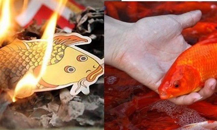 Cúng ông Táo nên dùng cá chép thật hay giấy?