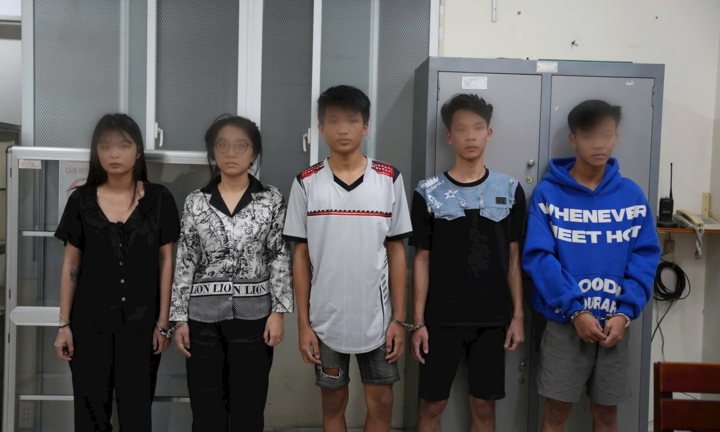 Khởi tố nhóm đối tượng lừa bán Baby Three rồi chiếm đoạt hơn 100 triệu đồng