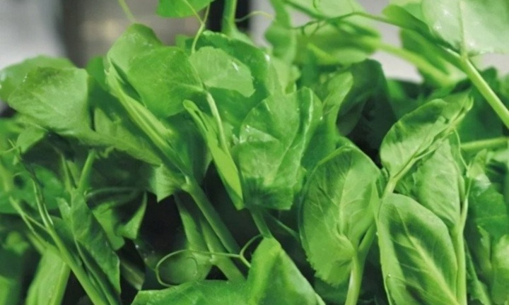 “Thần dược” giúp hạ hỏa, bổ gan, “đánh bay” độc tố