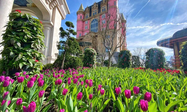 Sun World Ba Na Hills hứa hẹn hút khách dịp Tết Ất Tỵ với lễ hội hoa 2025