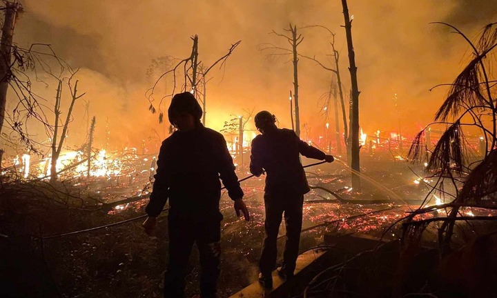 Clip: Cháy 20ha rừng thông, ngọn lửa lan nhanh áp sát nhà dân 