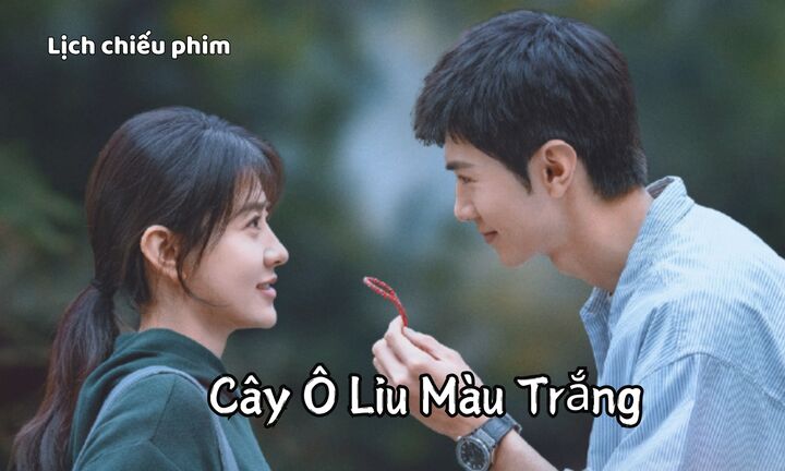 Lịch chiếu phim Cây Ô Liu Màu Trắng tập 1 mới nhất, chính xác nhất