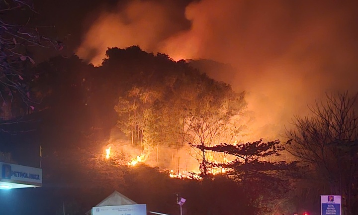 Clip: Cháy rừng ở Phú Thọ, lửa cuồn cuộn gần cây xăng