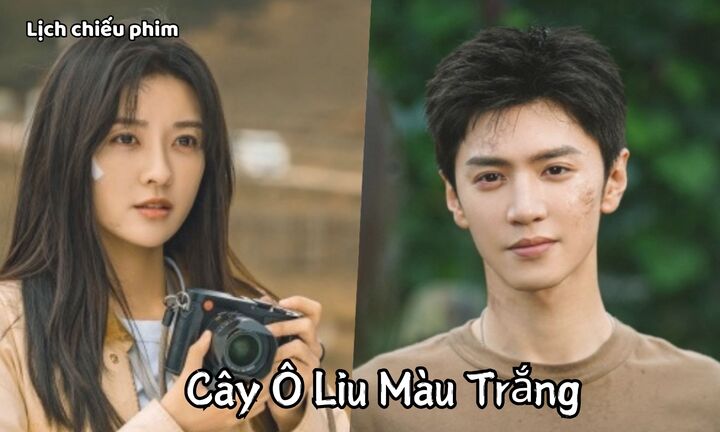 Lịch chiếu phim Cây Ô Liu Màu Trắng tập 11 đến 18 mới nhất, chính xác nhất