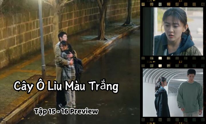 Cây Ô Liu Màu Trắng tập 15-16 Preview: Tống Nhiễm gặp chuyện, Lý Toản làm gì?