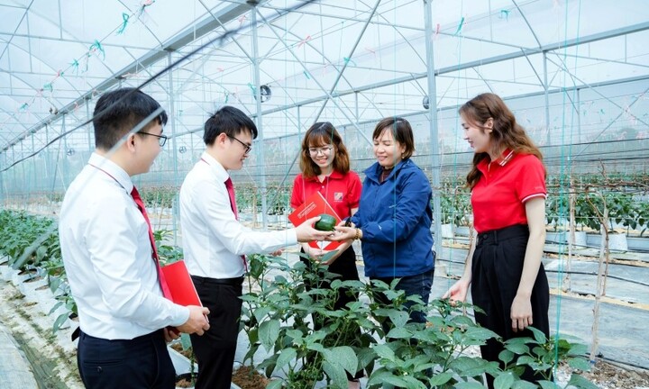 Agribank thúc đẩy tăng trưởng xanh, hướng tới phát triển bền vững