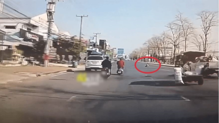 Clip: Bé 2 tuổi đi lạc giữa quốc lộ, camera ghi lại cảnh tượng khiến nhiều phụ huynh 