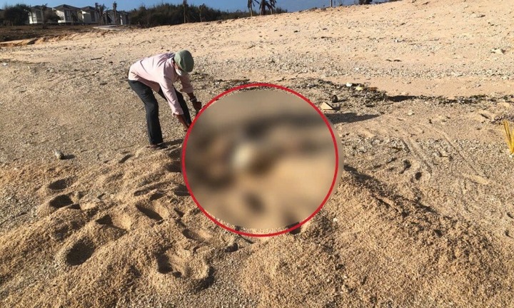 Nóng: Phát hiện một phần thi thể nữ giới trôi dạt vào biển Ninh Thuận