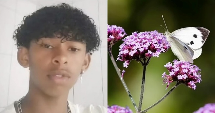 Tiêm dung dịch nước pha xác bướm, nam sinh 14 tuổi trả giá bằng cả tính mạng