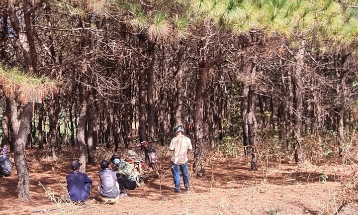 Đi ngang qua rừng thông, tá hỏa phát hiện người đàn ông đã tử vong trong tư thế treo cổ