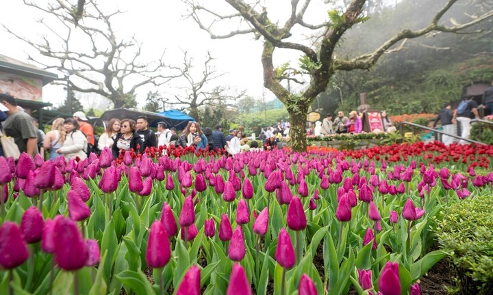 Hé lộ những trải nghiệm mới mẻ, cực chất tại Đà Nẵng từ tháng 3 này