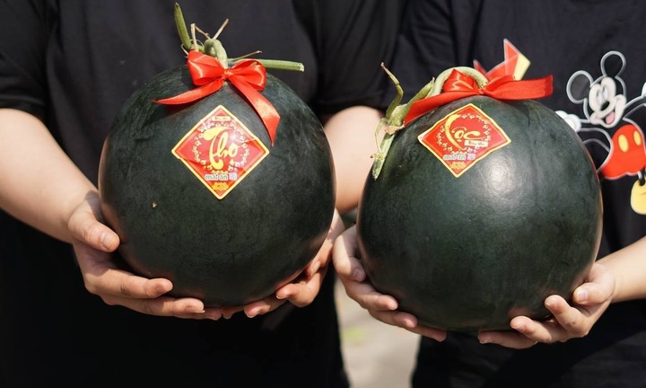 Bí ẩn sau vẻ ngoài đen lỳ của loại dưa hấu 