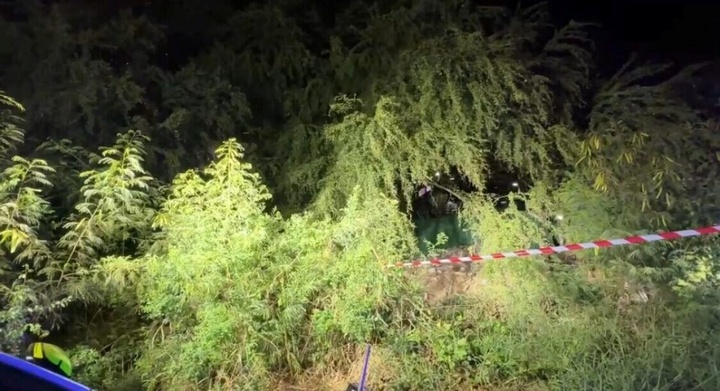 Người đàn ông bủn rủn phát hiện thi thể trong mương phủ đầy cây, rác