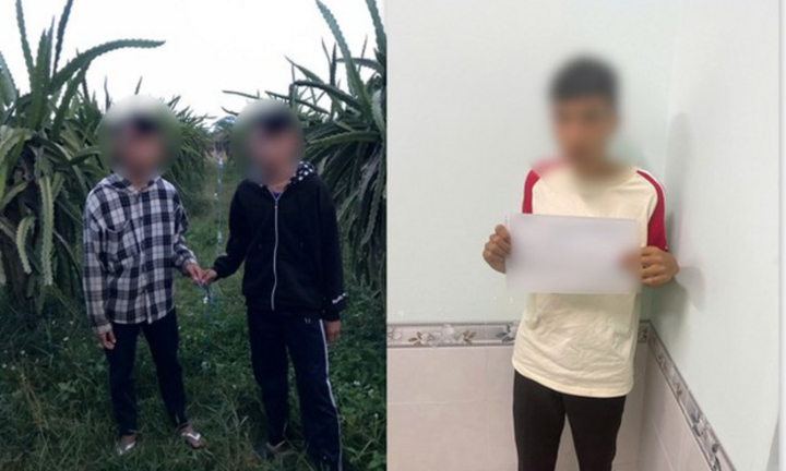 Điều tra vụ nhóm học sinh lớp 9 trộm dây điện trong rẫy thanh long của người dân