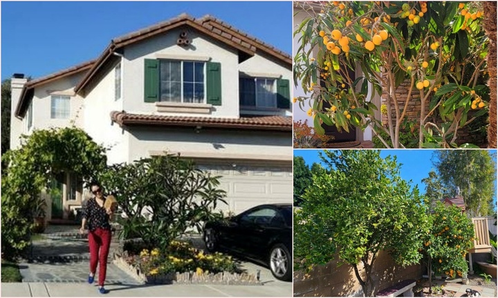 Cơ ngơi “triệu đô” của sao Việt: Không gian xanh mướt tại biệt thự ở Mỹ của ca sĩ Thu Phương