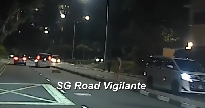 Clip: Kinh hoàng chó cưng bị xe