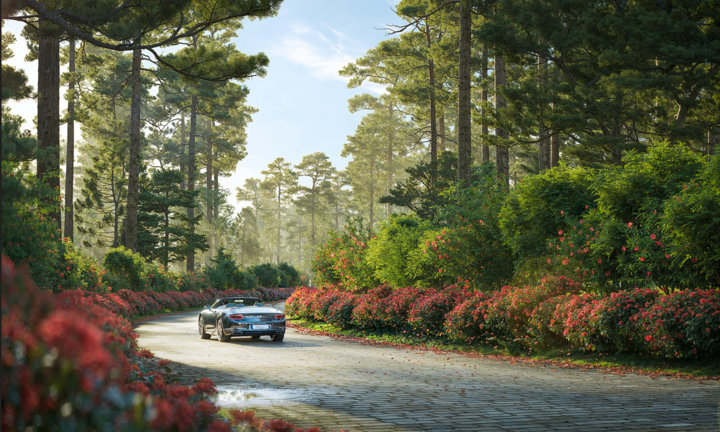 Thanh Xuan Valley – Miền an trú giữa thiên nhiên nguyên bản