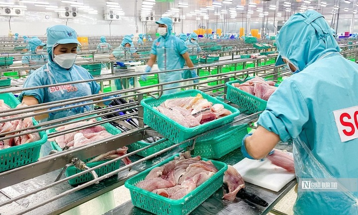 Bộ Nông nghiệp và Môi trường đặt mục tiêu 90% thủ tục được thực hiện trực tuyến