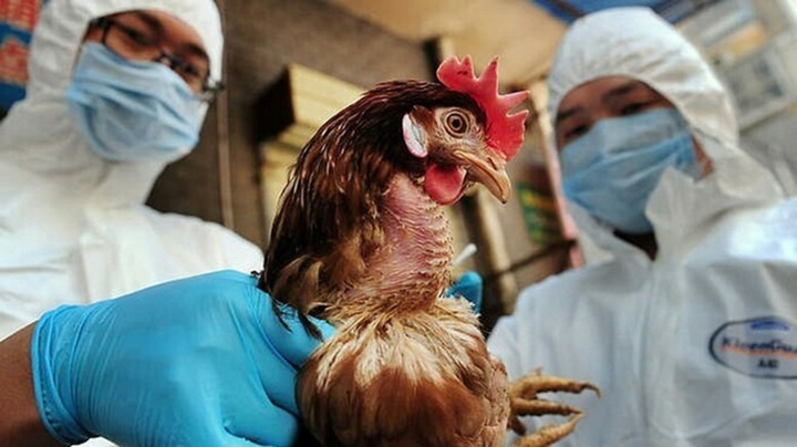 Bé gái 7 tuổi mắc cúm A/H5N1 diễn biến phức tạp, ảnh hưởng hệ thần kinh