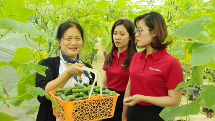 Dòng vốn ưu đãi 50.000 tỷ đồng từ Agribank: Tiếp sức sản xuất, đồng hành cùng triệu hộ kinh doanh